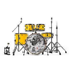 PlayDrumsBoy 5-piece Drum Kit Bundle Dragon